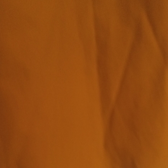 NWT Woolrich Men's Golden Button Down Shirt - Picture 4 of 9